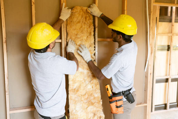 Best Insulation for New Construction  in Bloomingdale, IL