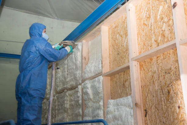 Best Cellulose Insulation  in Bloomingdale, IL